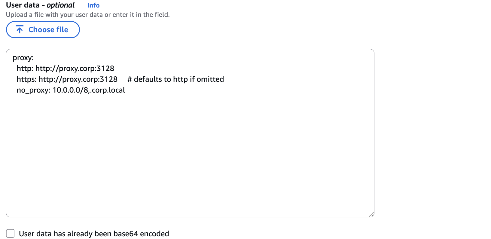 Adding proxy configuration to AWS User data